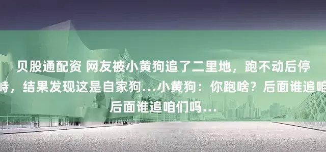 贝股通配资 网友被小黄狗追了二里地，跑不动后停下来对峙，结果发现这是自家狗…小黄狗：你跑啥？后面谁追咱们吗…